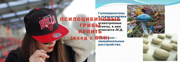 Альфа ПВП Протвино